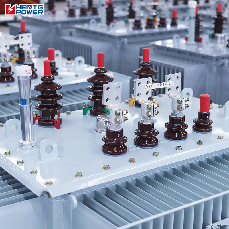 Oil Immersed Type Power Distribution Transformer Outdoor 250KVA 315KVA Three Phase