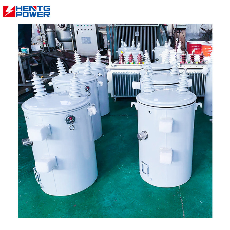 Variable Voltage Oil Immersed Distribution Transformer Mv Hv Pole Mounted Class H Insulation