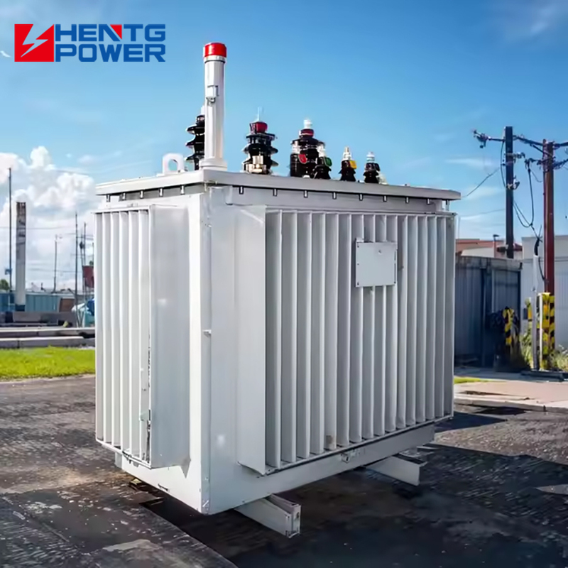 Oil Immersed Type Power Distribution Transformer Outdoor 250KVA 315KVA Three Phase