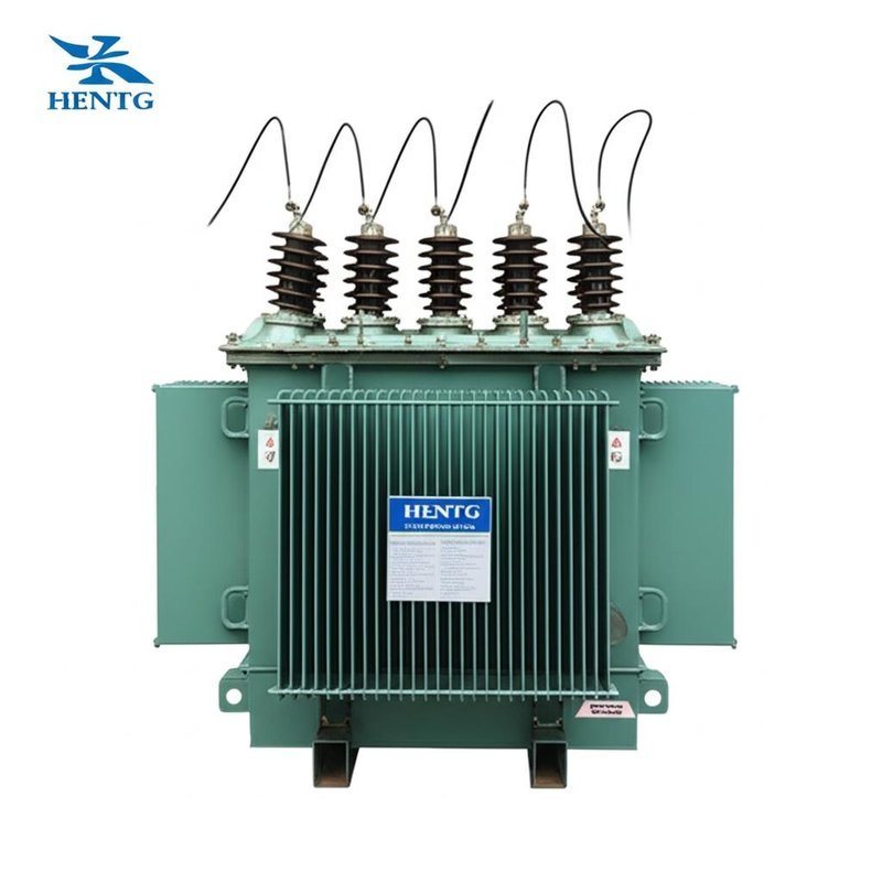 HENTG Power Single Phase Pole Mounted Transformer 100KVA Outdoor Oil Immersed 480V/400V for Overhead Line Distribution