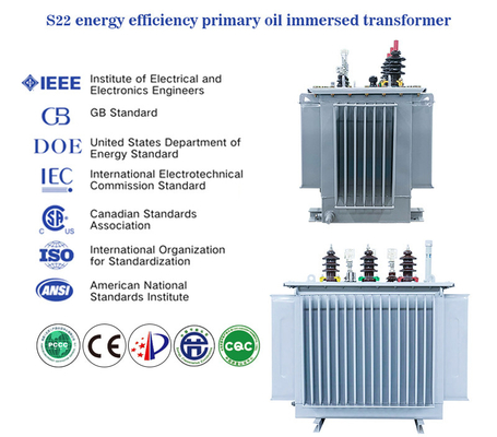 3 Phase Oil Immersed Transformer Step Up Step Down 1250Kva With Layered Dual Winding Coil