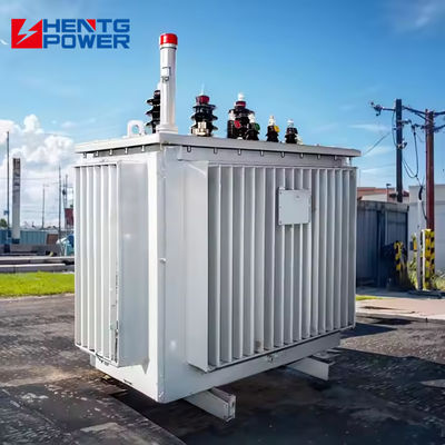 Oil Immersed Type Power Distribution Transformer Outdoor 250KVA 315KVA Three Phase