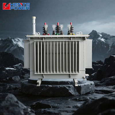 250KVA 10/0.4KV Oil Immersed Three Phase Distribution Transformer